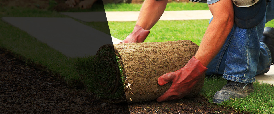 Murrells Inlet Landscapers